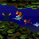 Donkey Kong Country